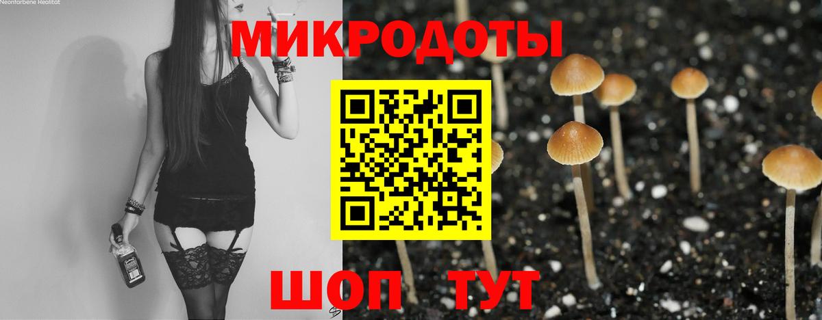 Псилоцибиновые грибы мицелий Кирово-Чепецк